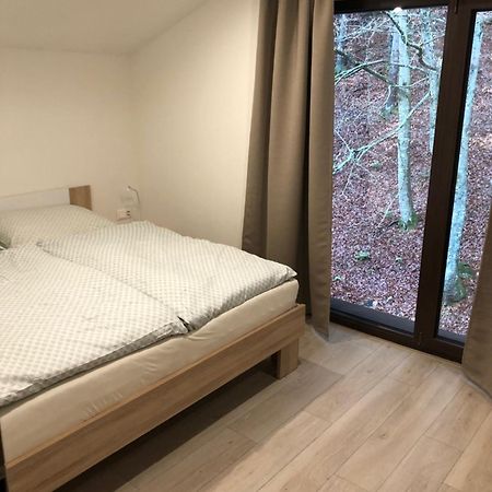 Tale Apartman 9, Lucnica, Chopok Juh 外观 照片